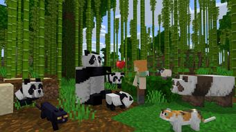 Image 0 for Minecraft: Java & Bedrock…